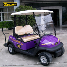 48V 2 seater Trojan battery electric golf buggy car custom mini golf cart for sale